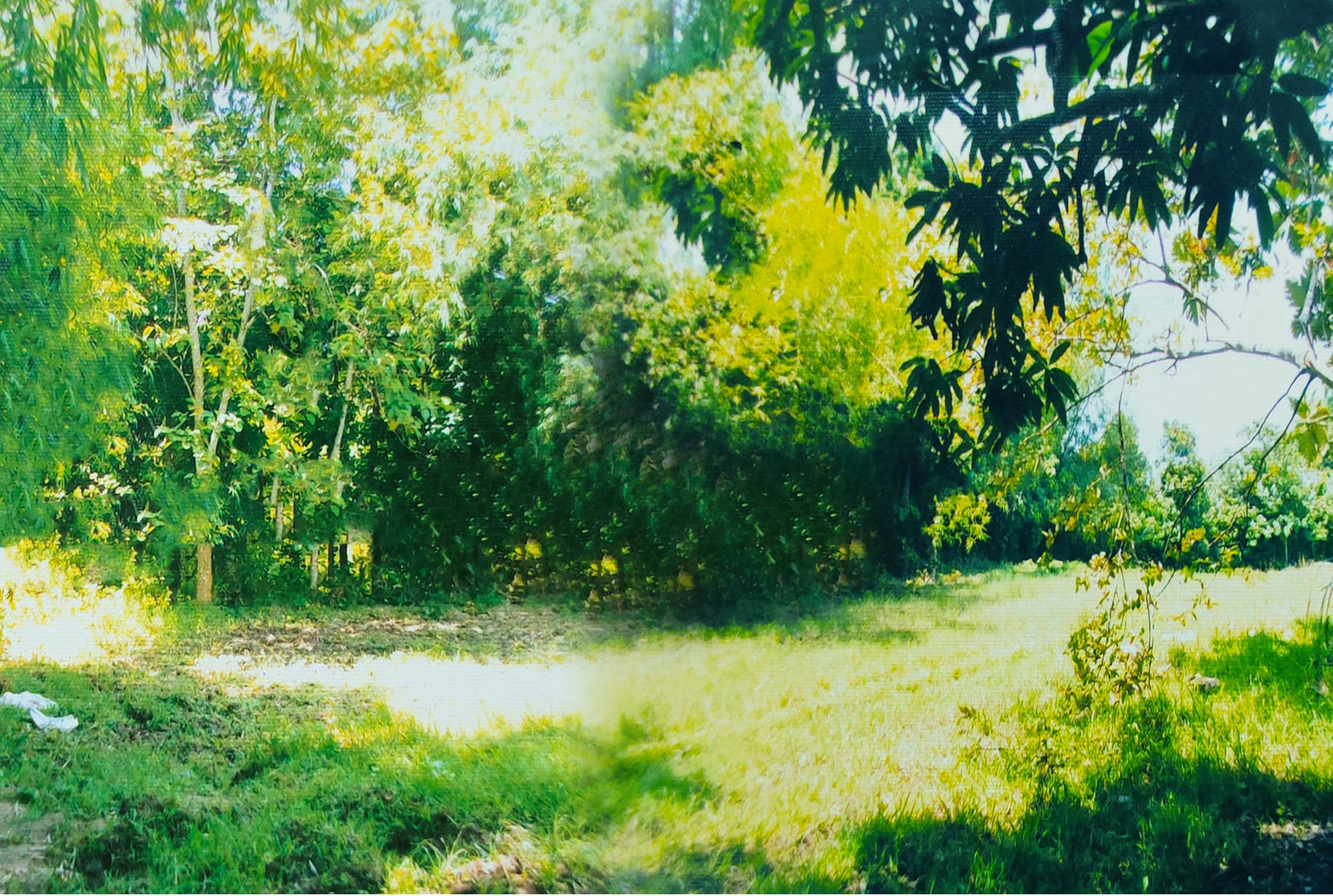 Agricultural Lot Tagudin, Mabini, Pangasinan BHF Rural Bank Inc.