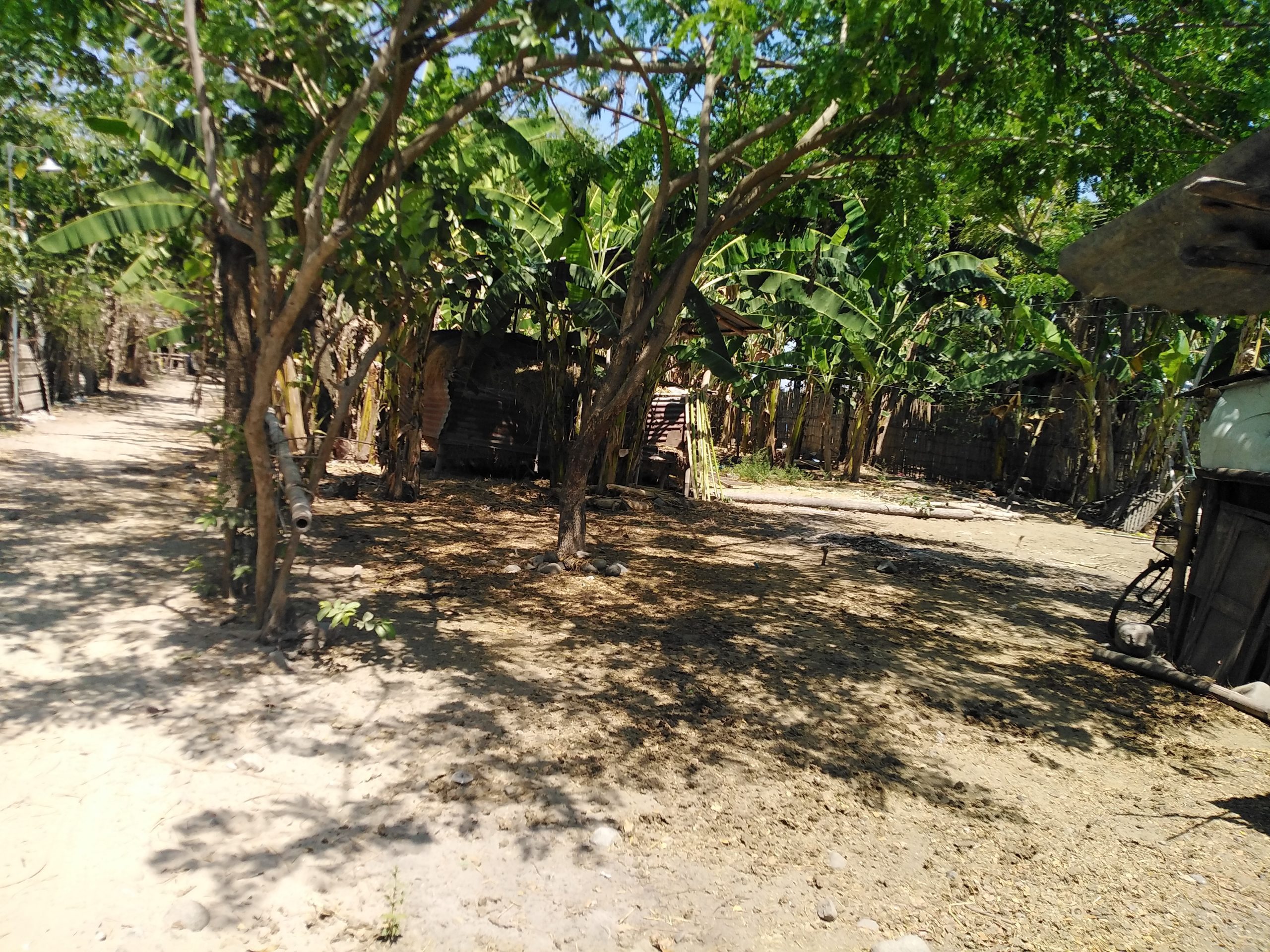 Residential Lot Bunlalacao, Mangatarem, Pangasinan BHF Rural Bank Inc.