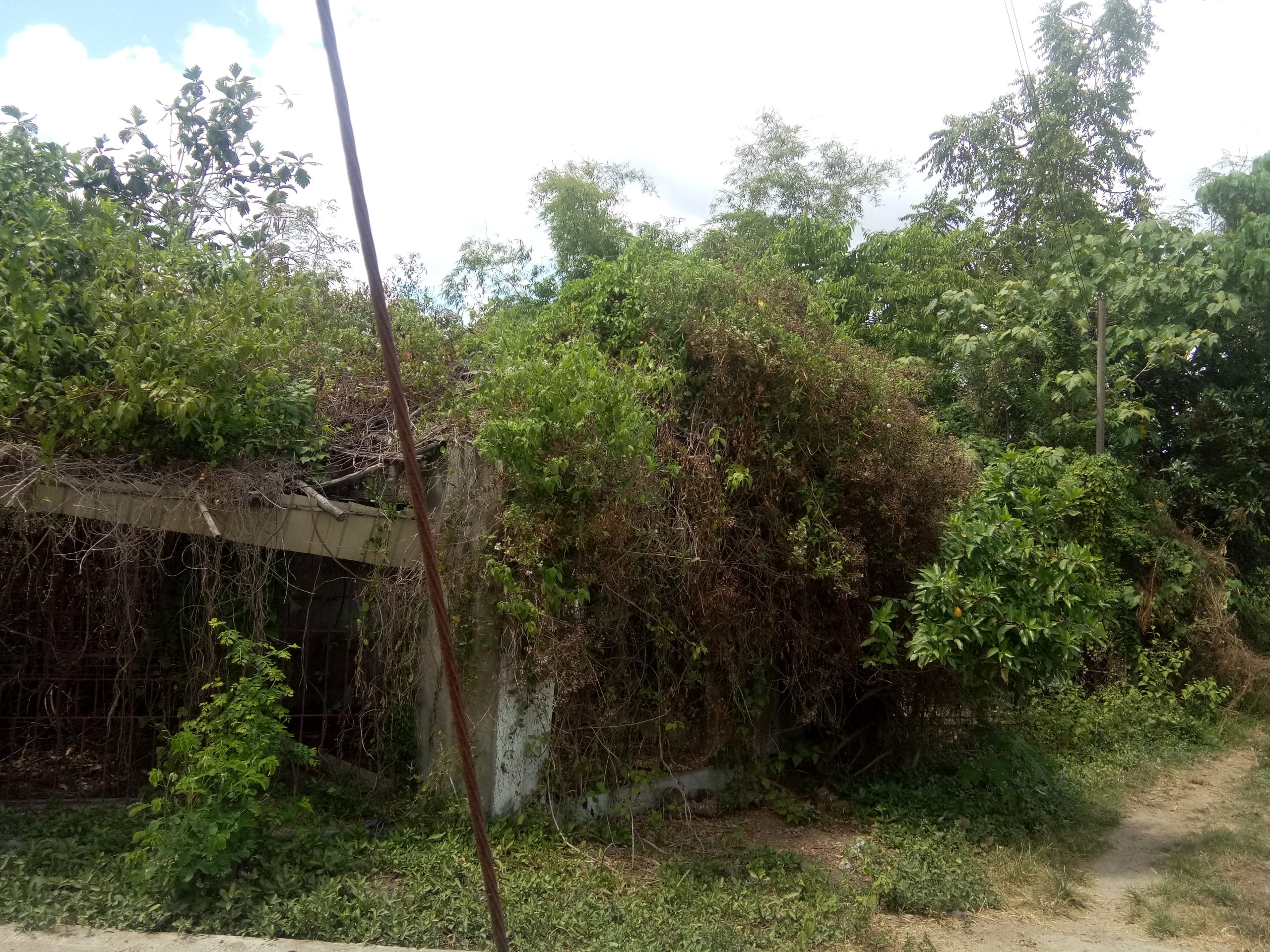 Residential Lot Botao, Sta. Barbara, Pangasinan BHF Rural Bank Inc.